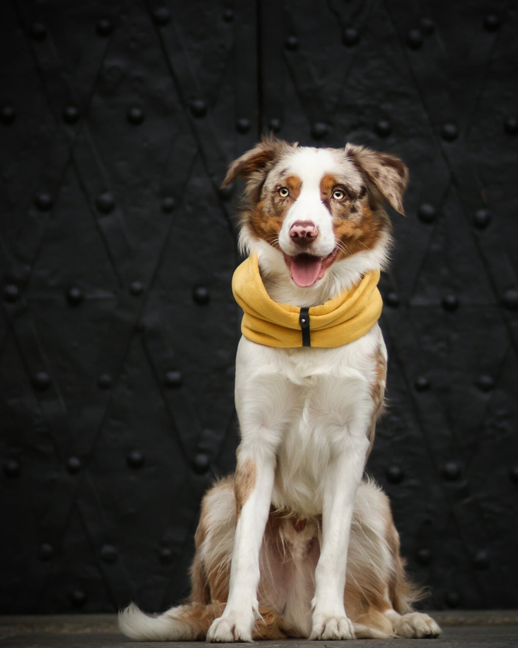 INKO Neck Warmer – LABBVENN