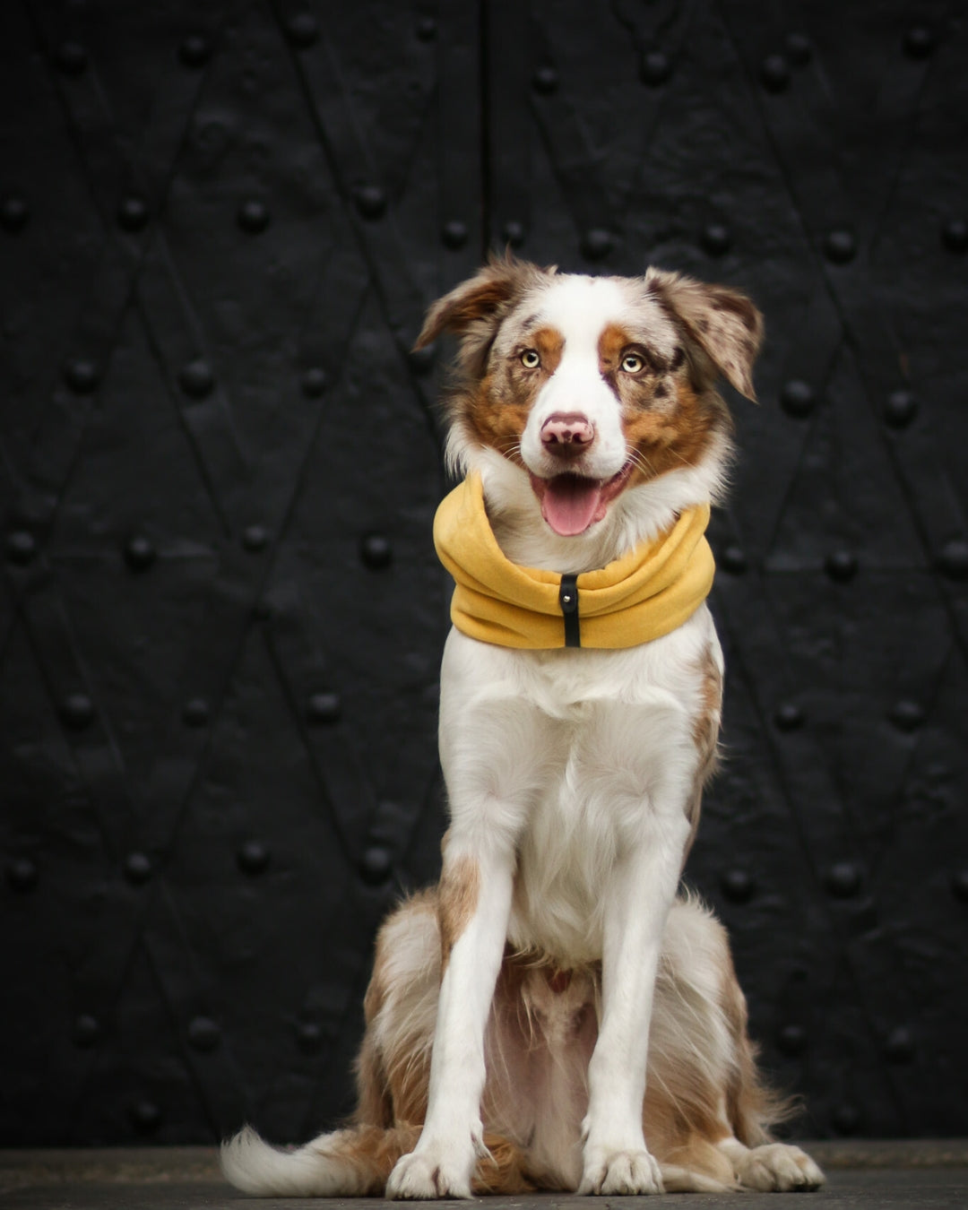 INKO Neck Warmer – LABBVENN