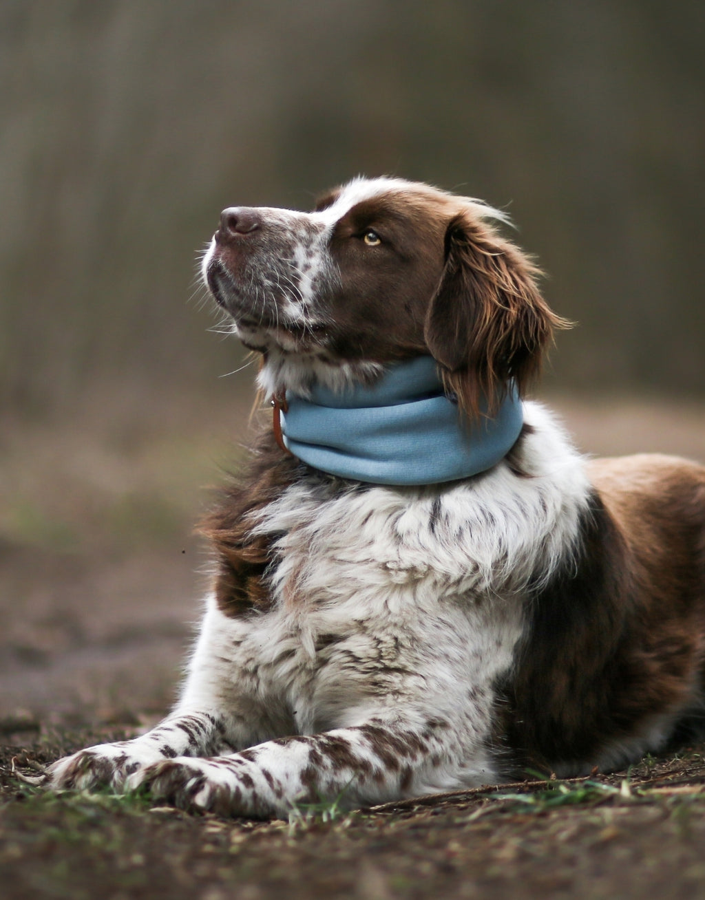 INKO Neck Warmer – LABBVENN