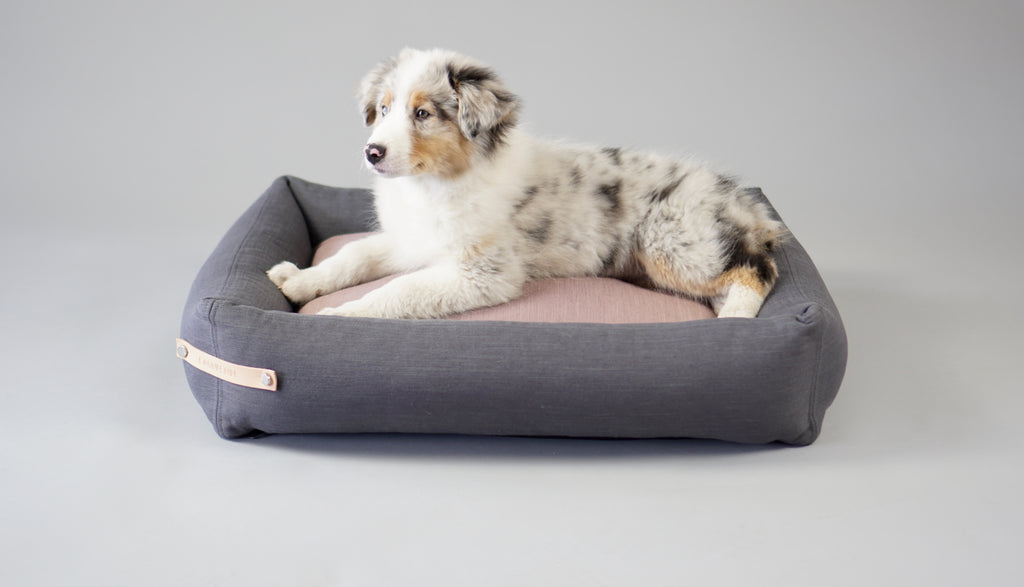 Cama Stokke para perros