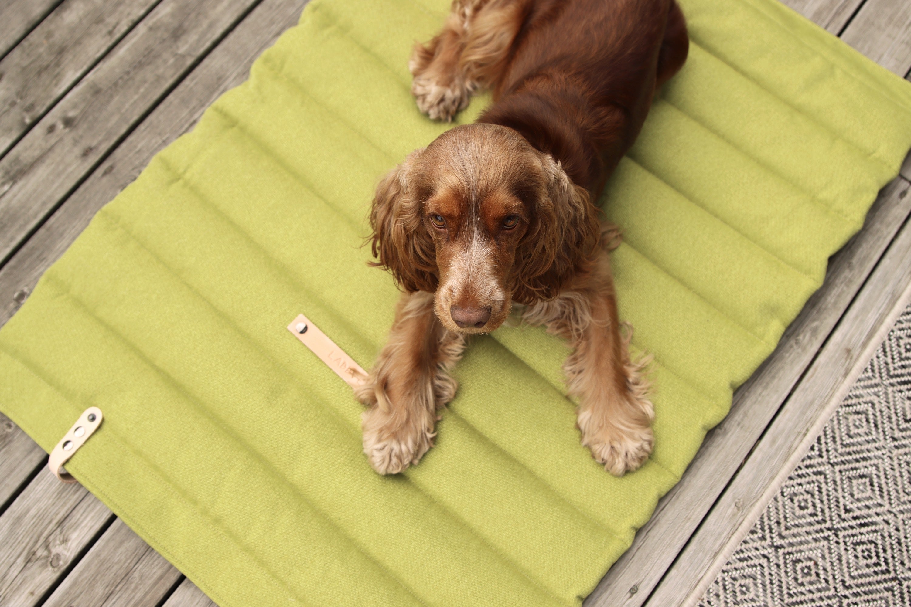 Esterilla Fosser para perros