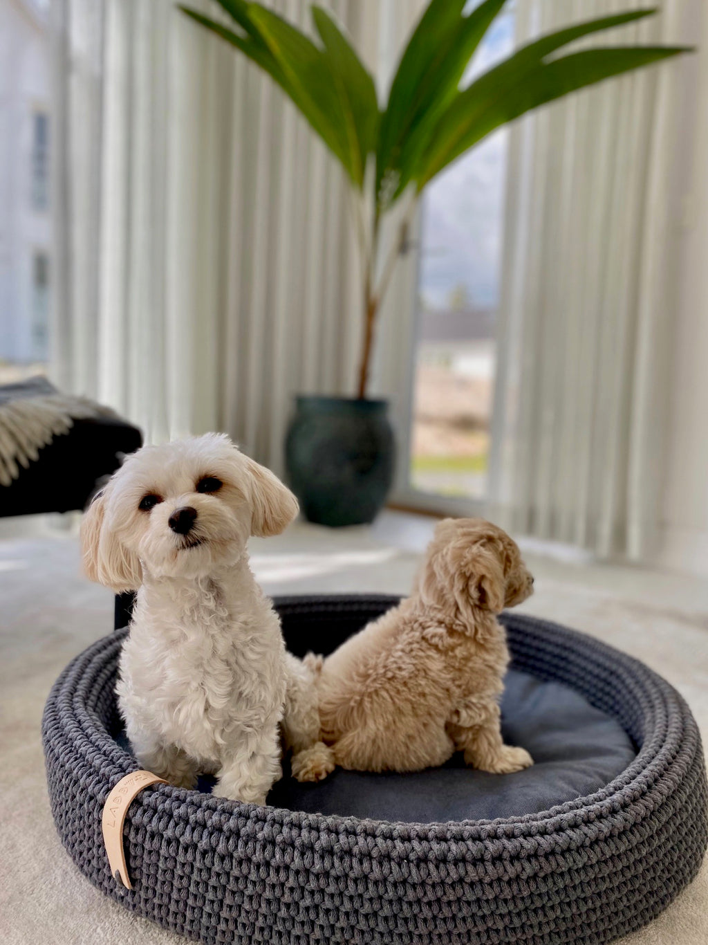Cama ovalada artesanal Lukko para perros