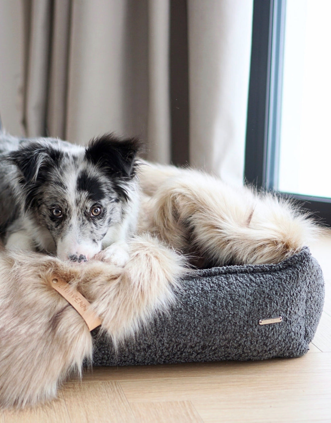 Cama Bukkla Dog Bed en bouclé para perros