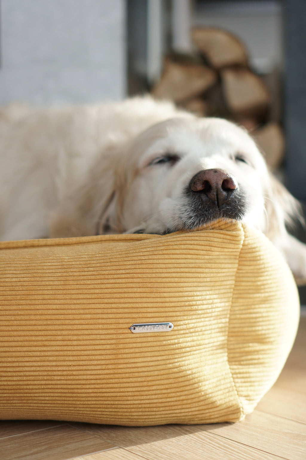 Cama Strippo para perros en pana