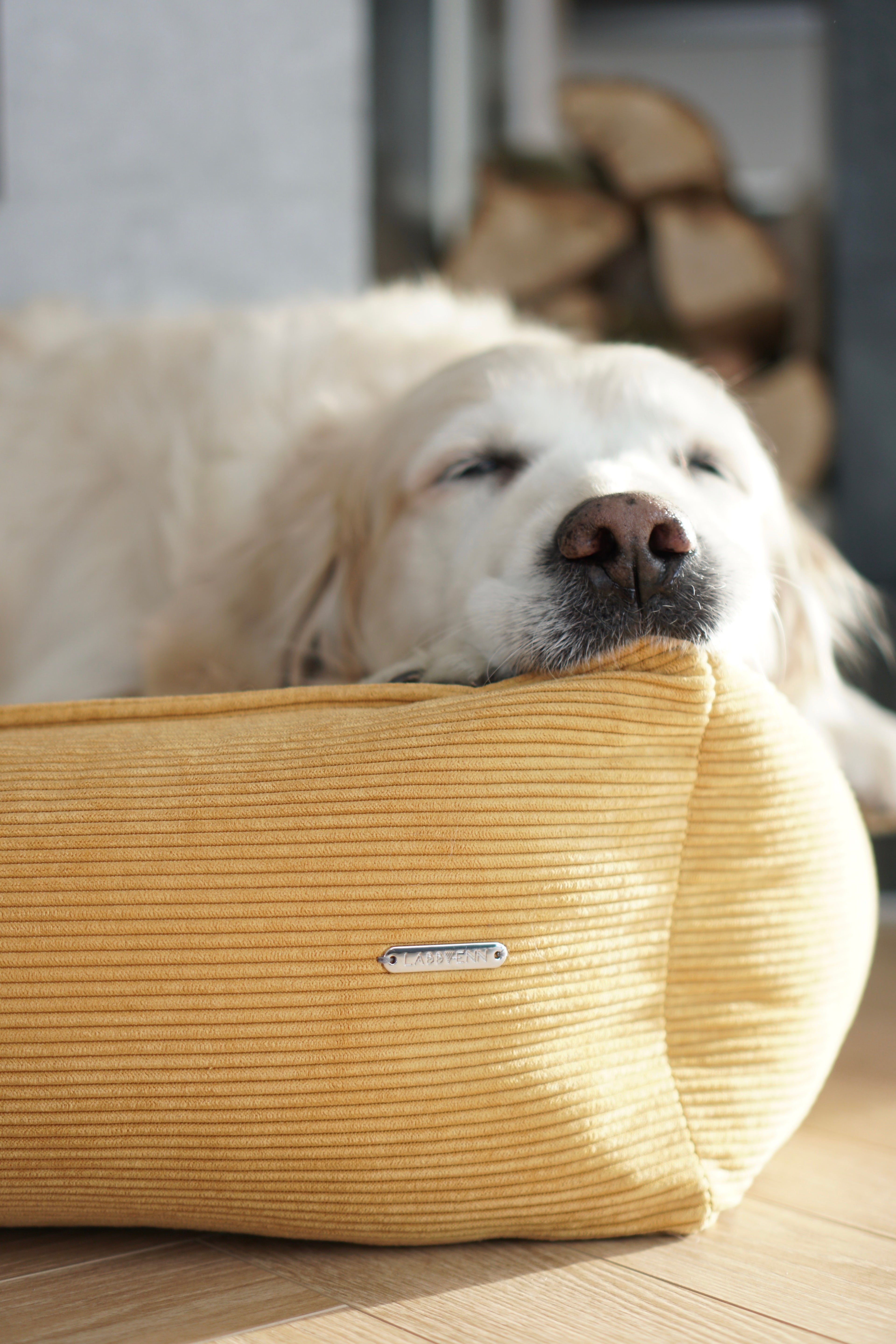 Cama Strippo para perros en pana