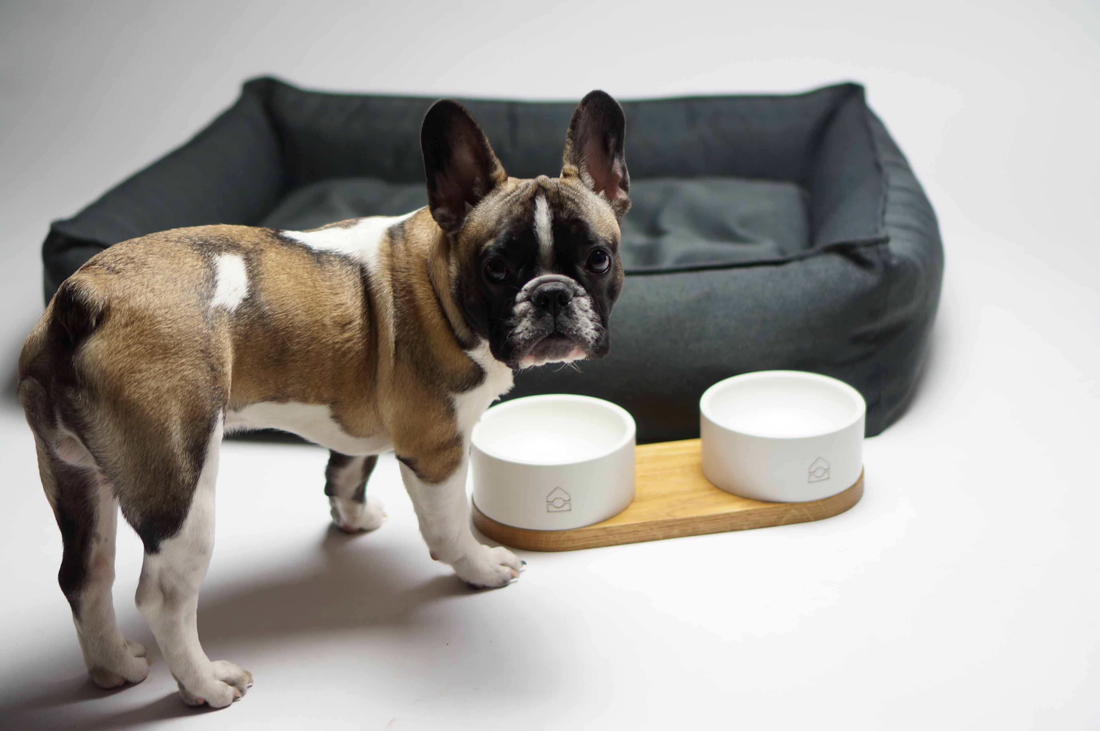 Cama TÖVE para perros