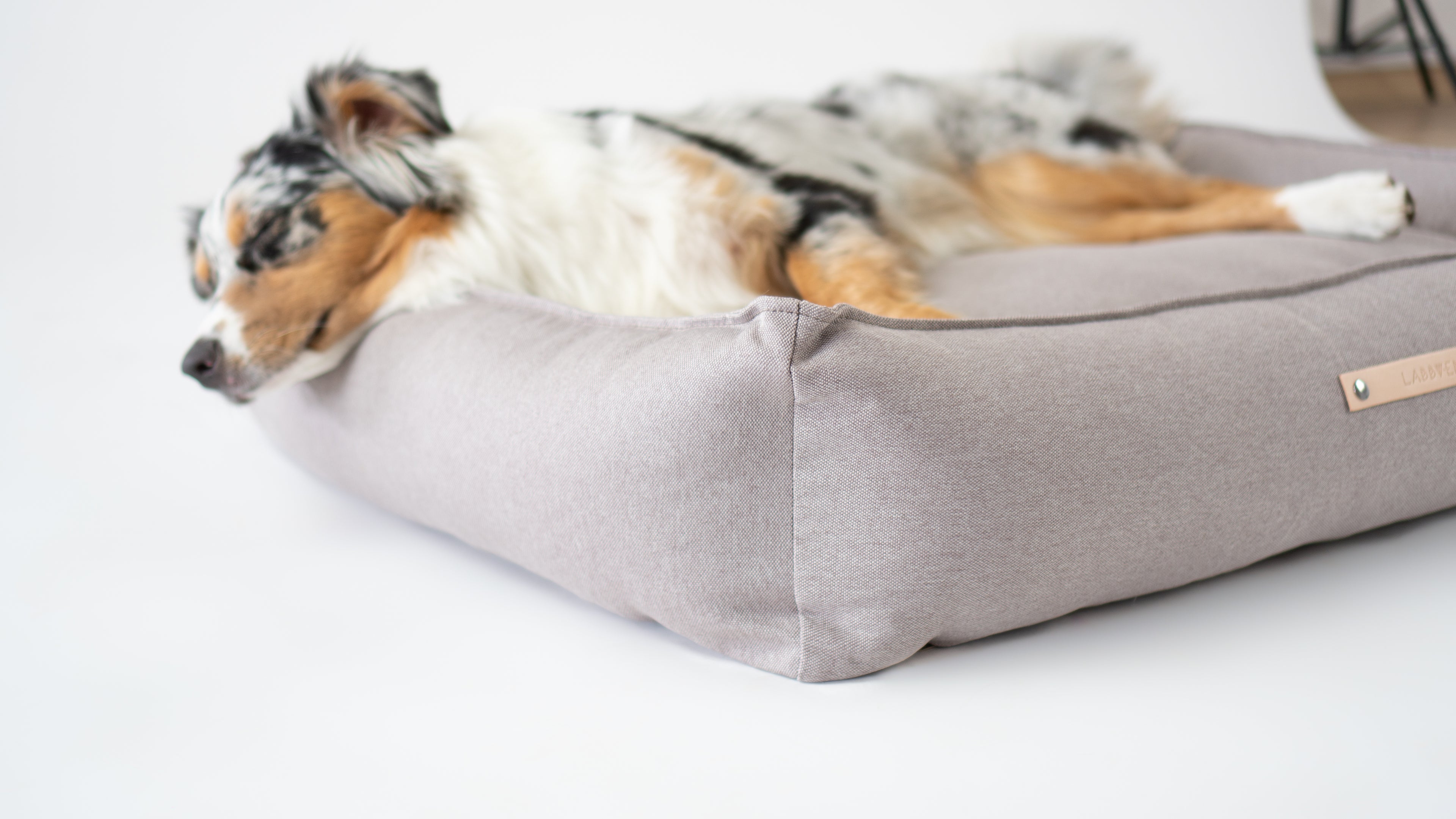 Cama TÖVE para perros