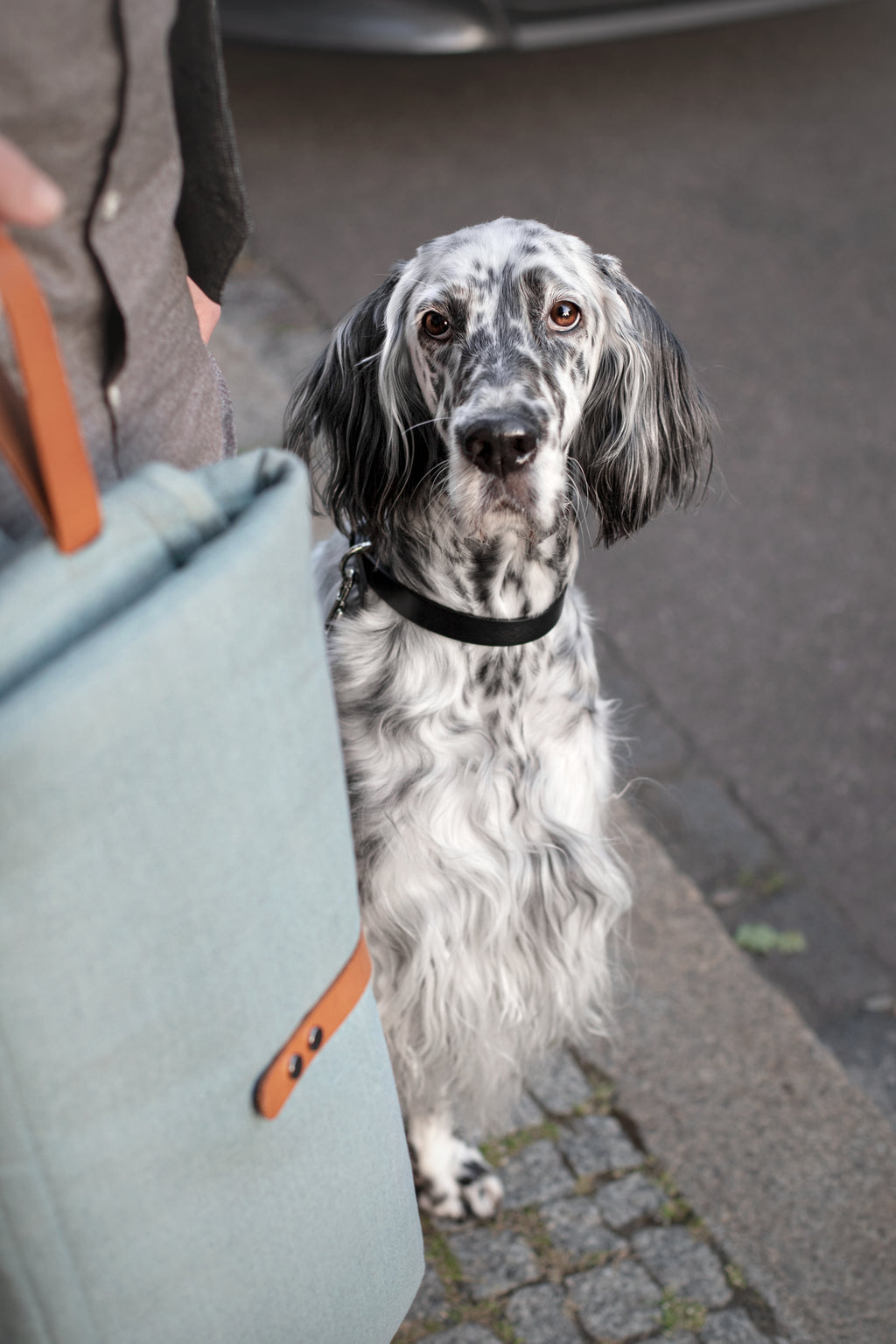 Esterilla de viaje OKKA para perros