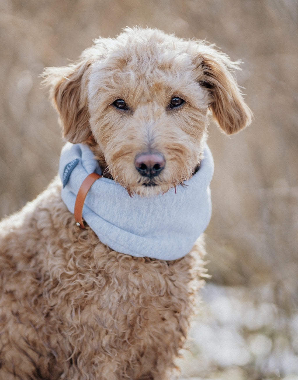 INKO Neck Warmer – LABBVENN