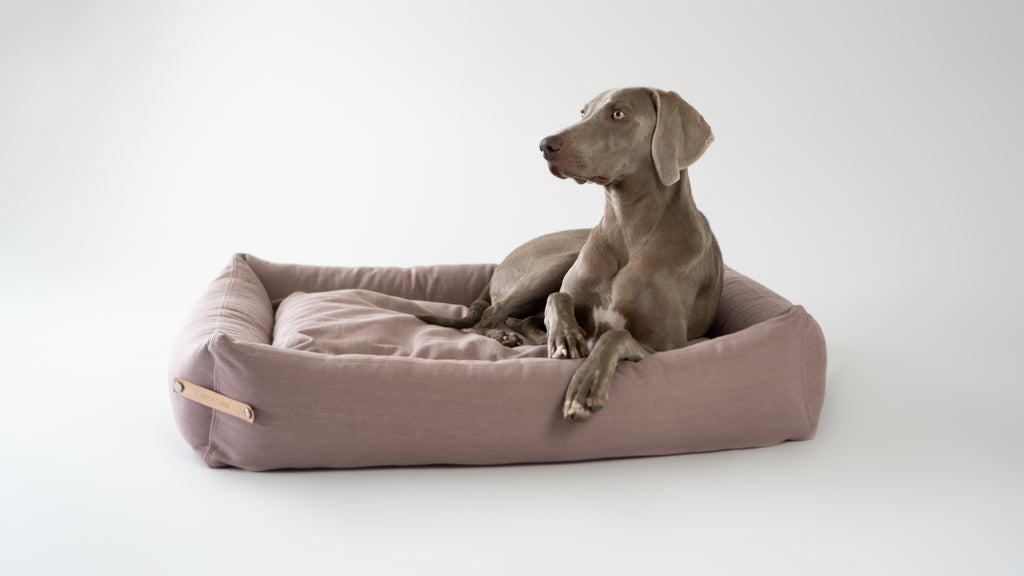 Cama Stokke para perros