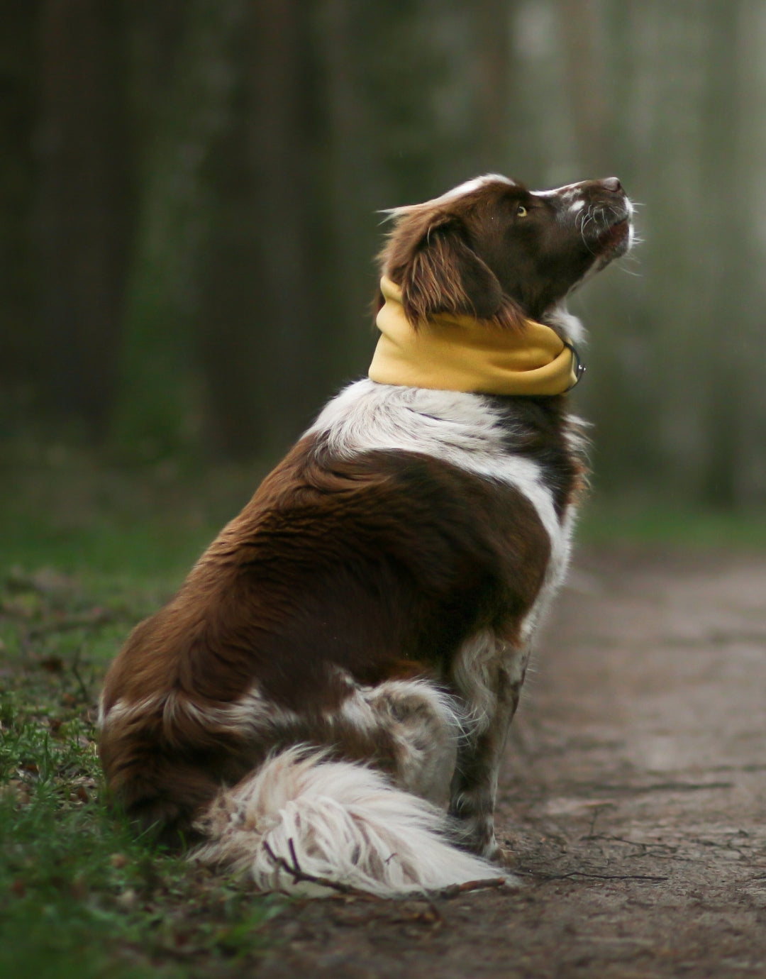 INKO Neck Warmer – LABBVENN