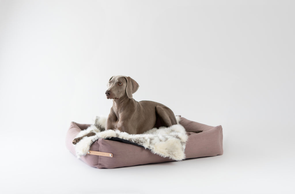 Cama Stokke para perros