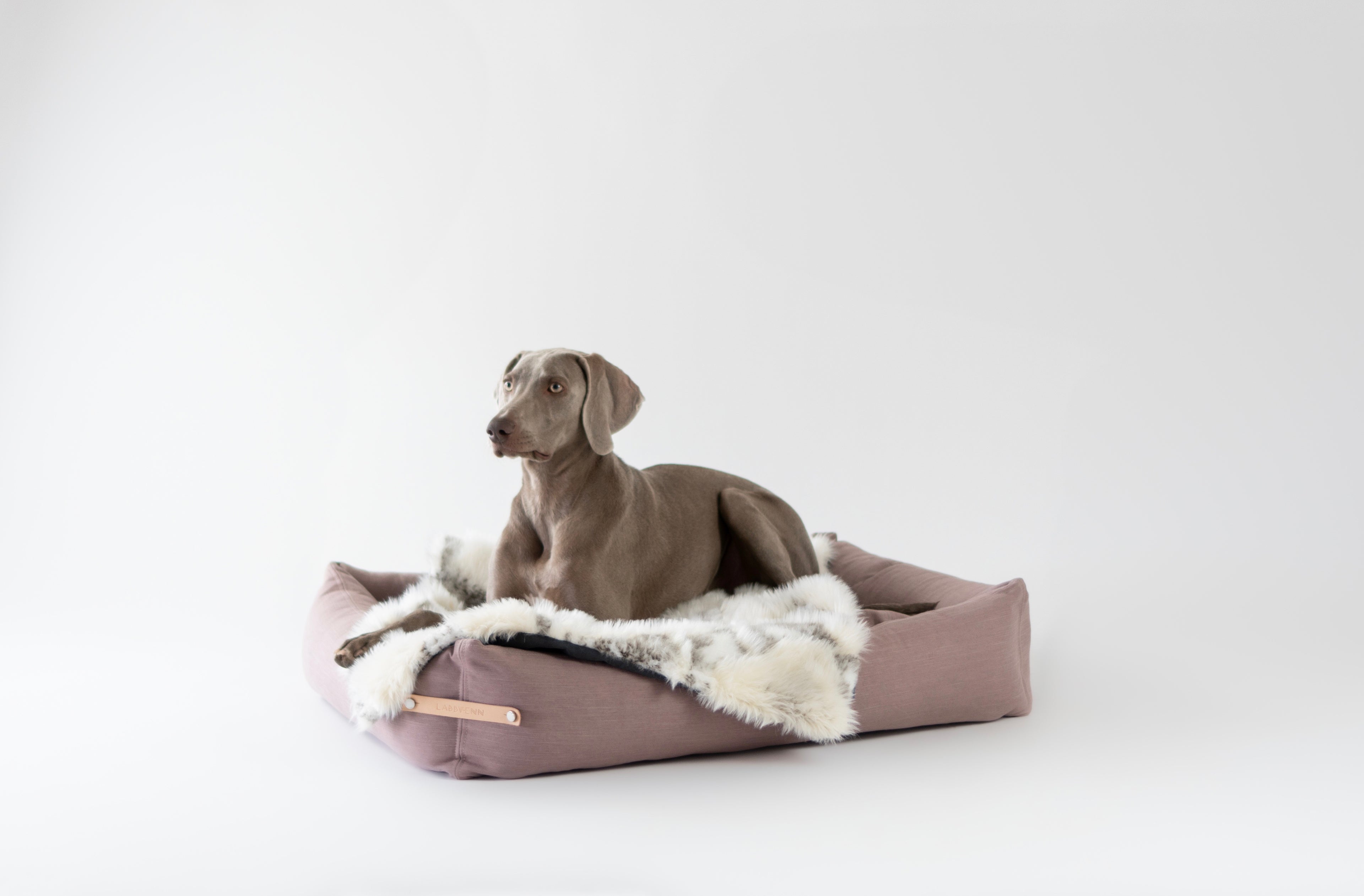 Cama Stokke para perros
