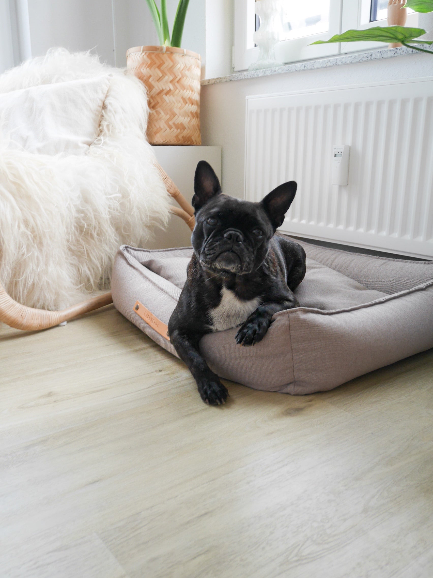Cama TÖVE para perros