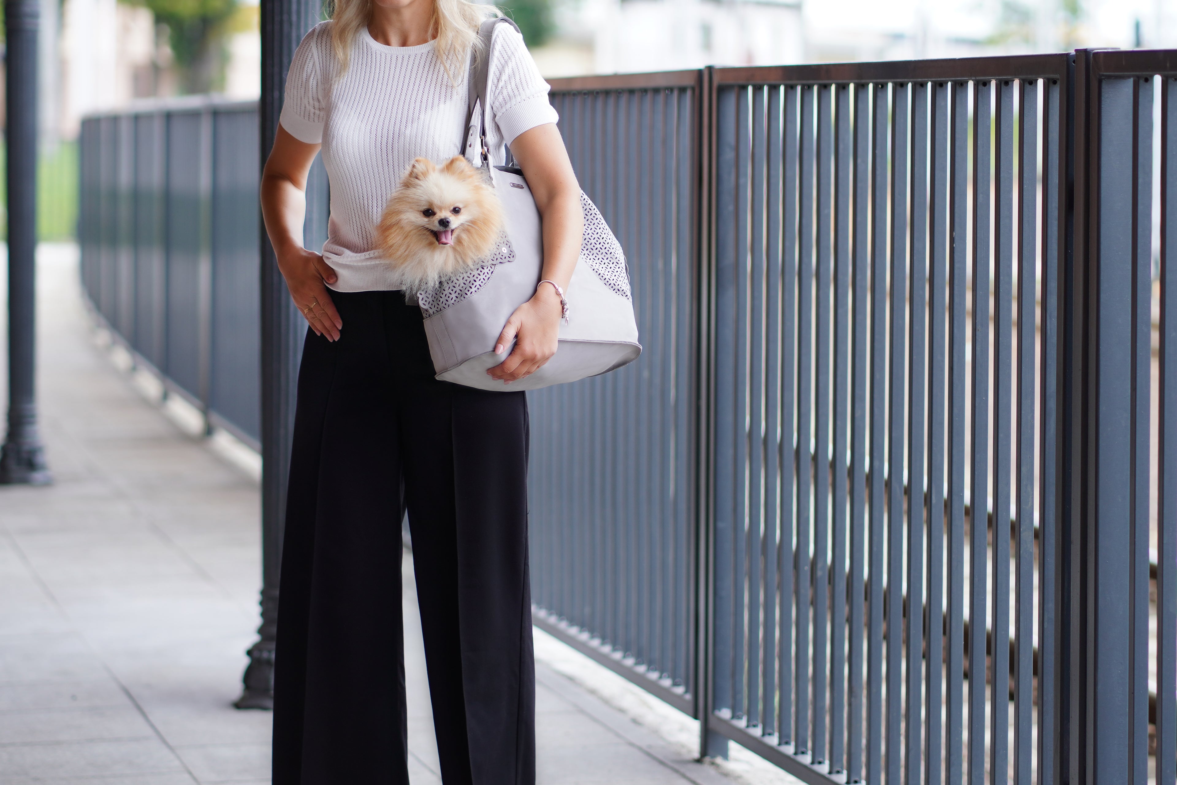 Bolso transportín ELVA de nubuck para perros
