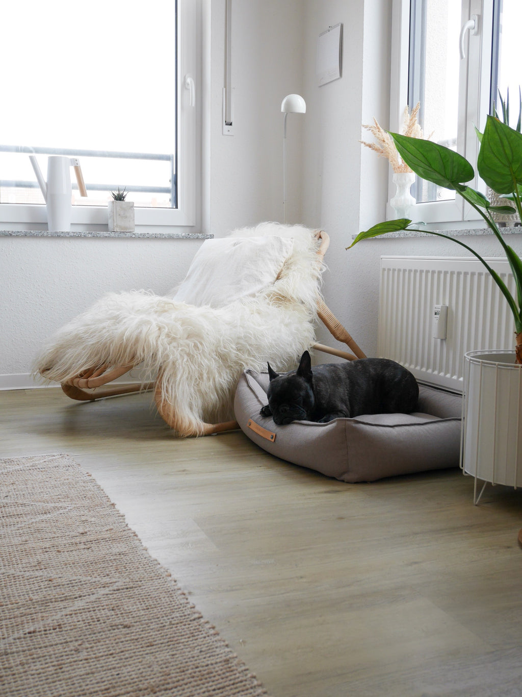 Cama TÖVE para perros