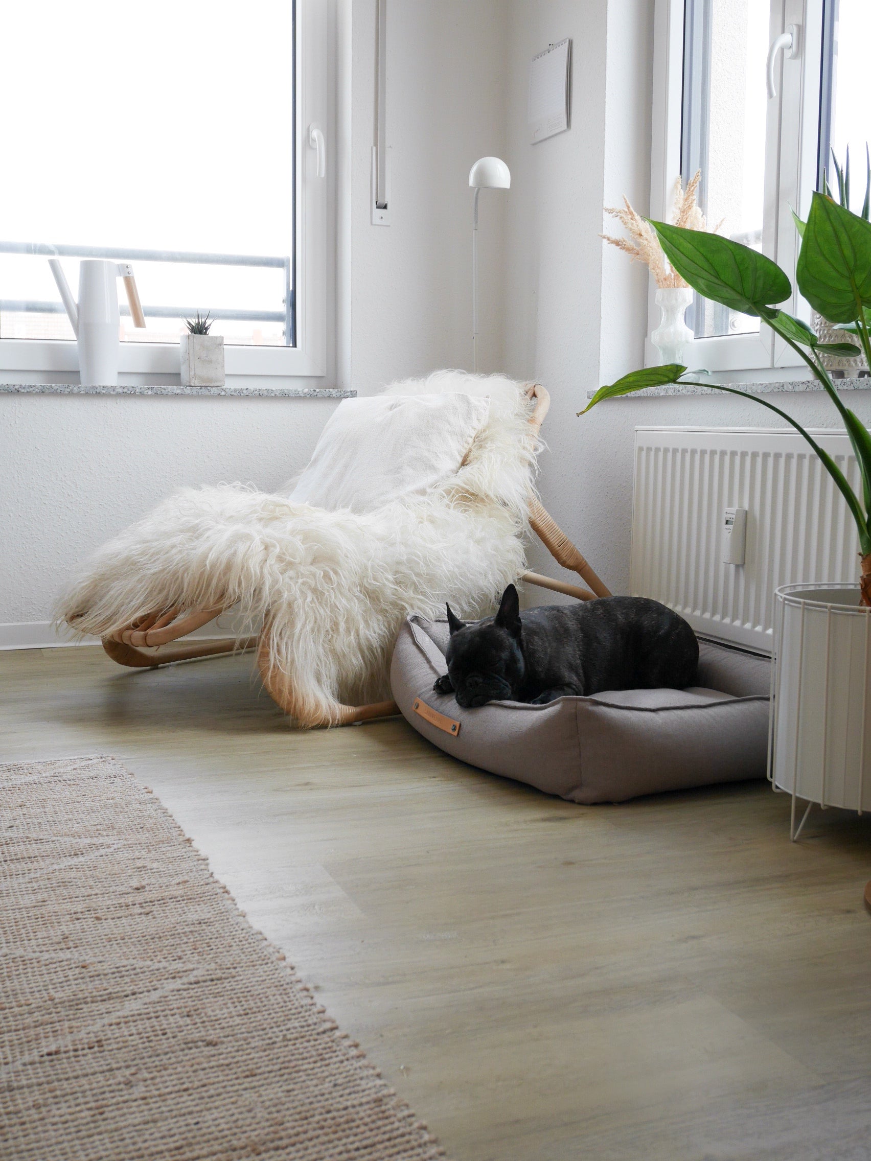 Cama TÖVE para perros