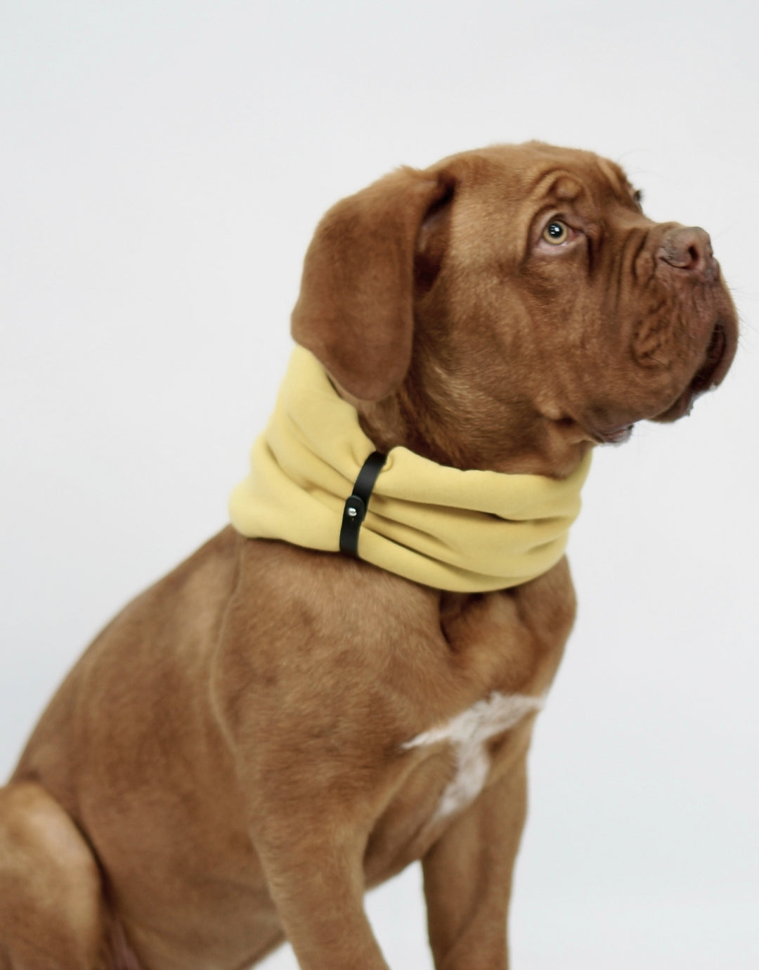 INKO Neck Warmer – LABBVENN
