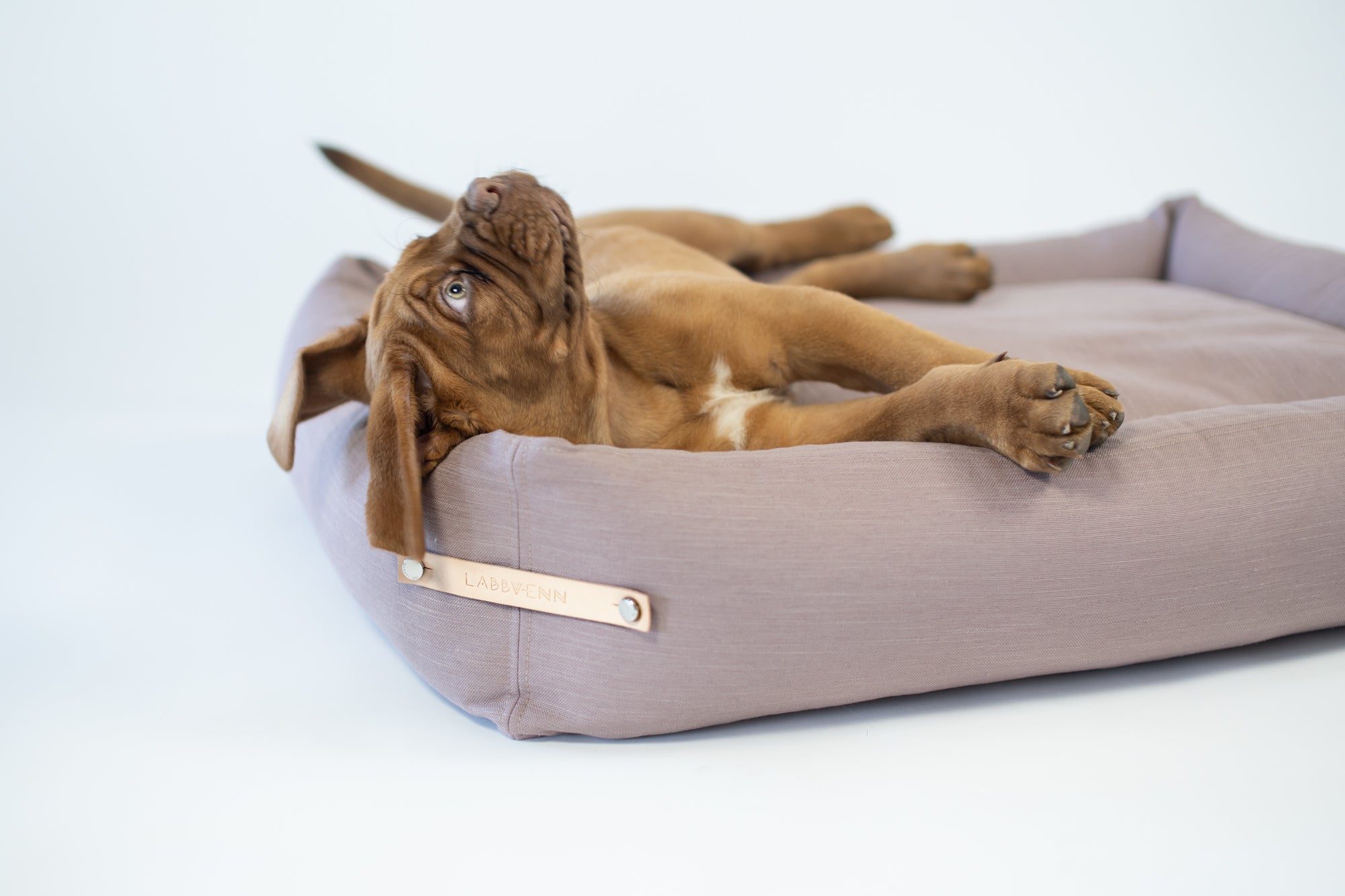 Cama Stokke para perros