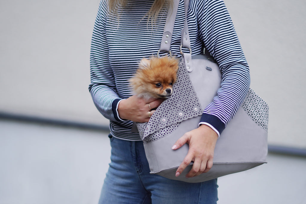 Bolso transportín ELVA de nubuck para perros