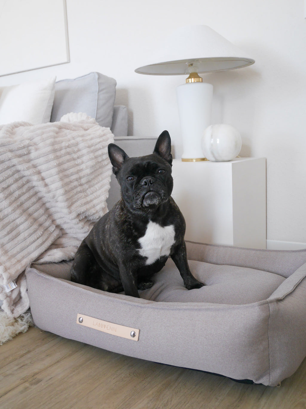 Cama TÖVE para perros