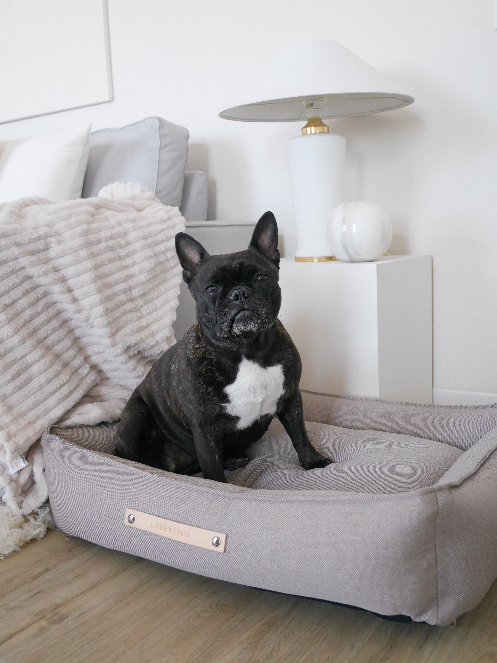 Cama TÖVE para perros