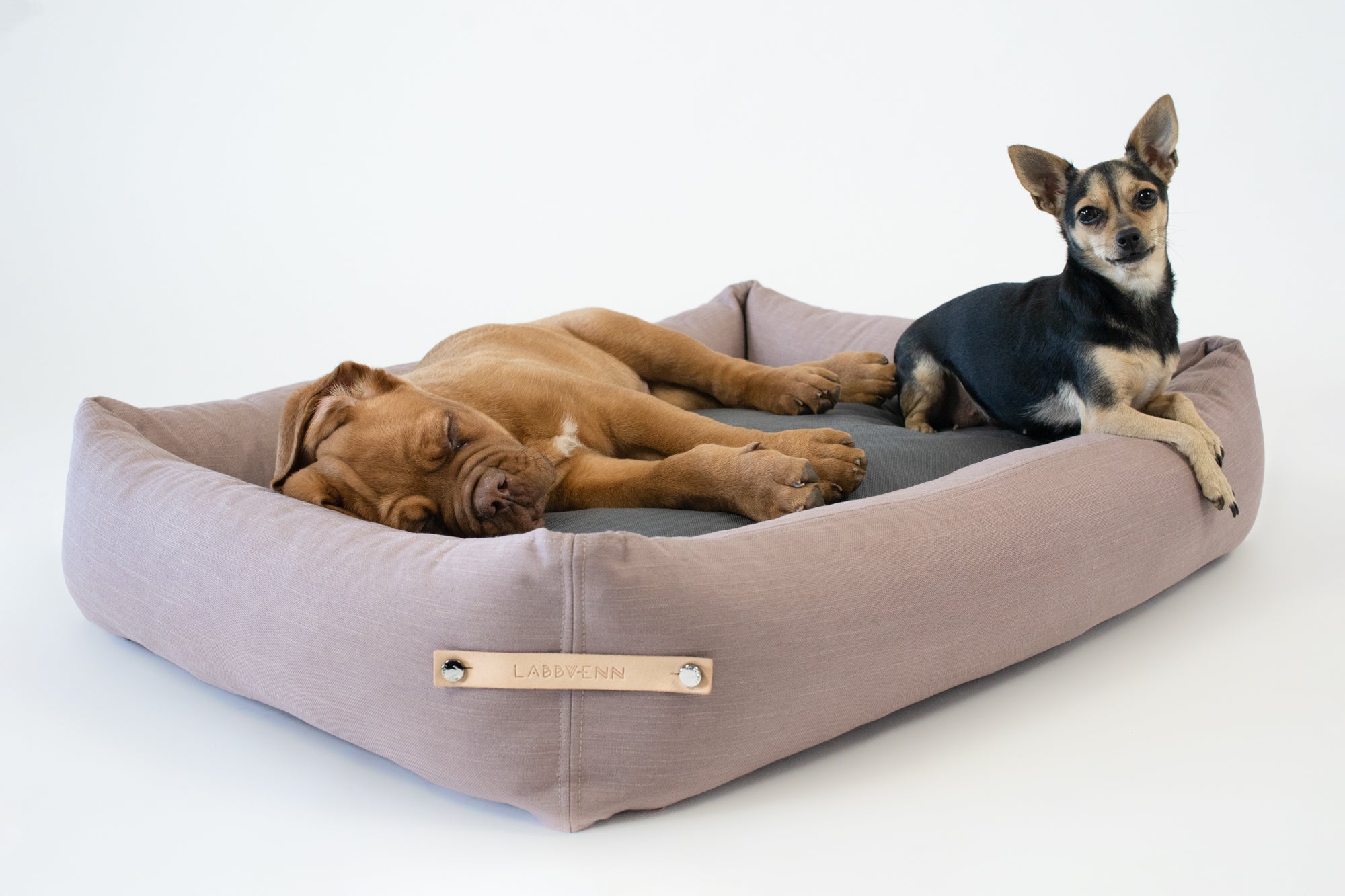 Cama Stokke para perros