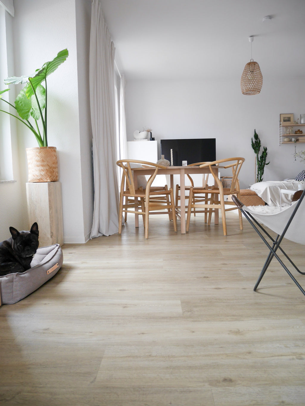 Cama TÖVE para perros