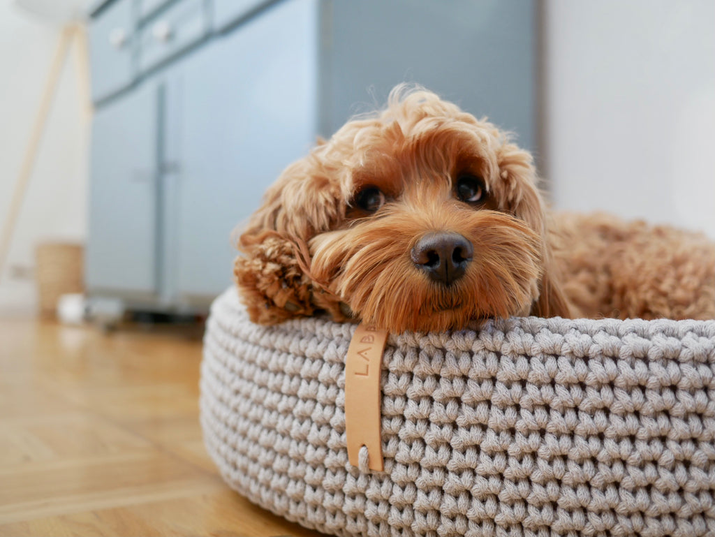 Cama ovalada artesanal Lukko para perros