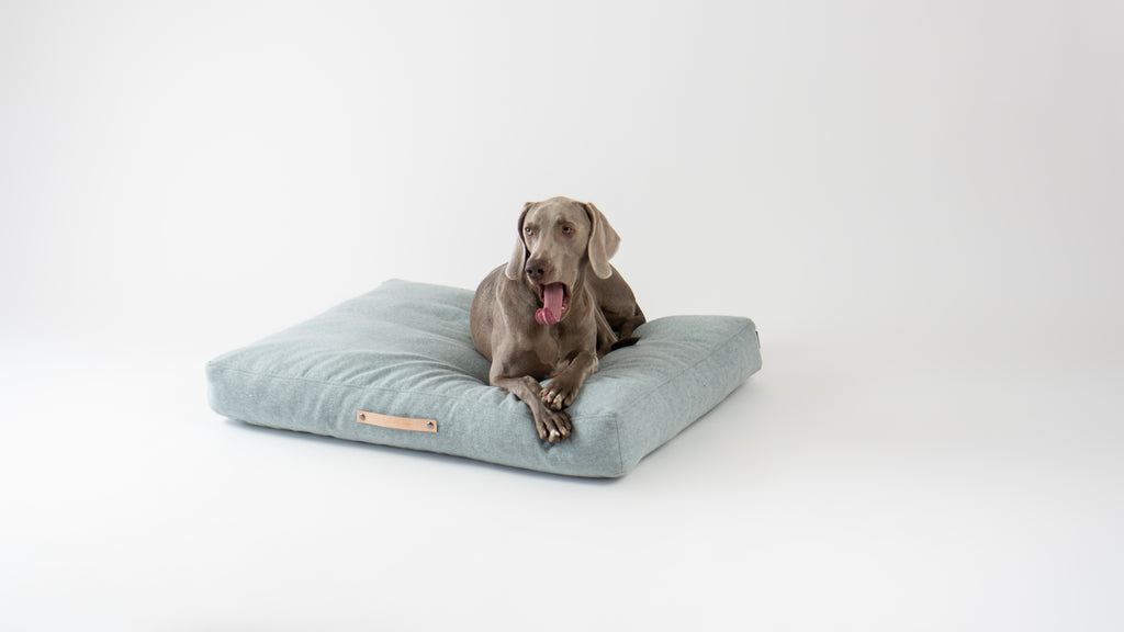 Cojín Nordic para perros
