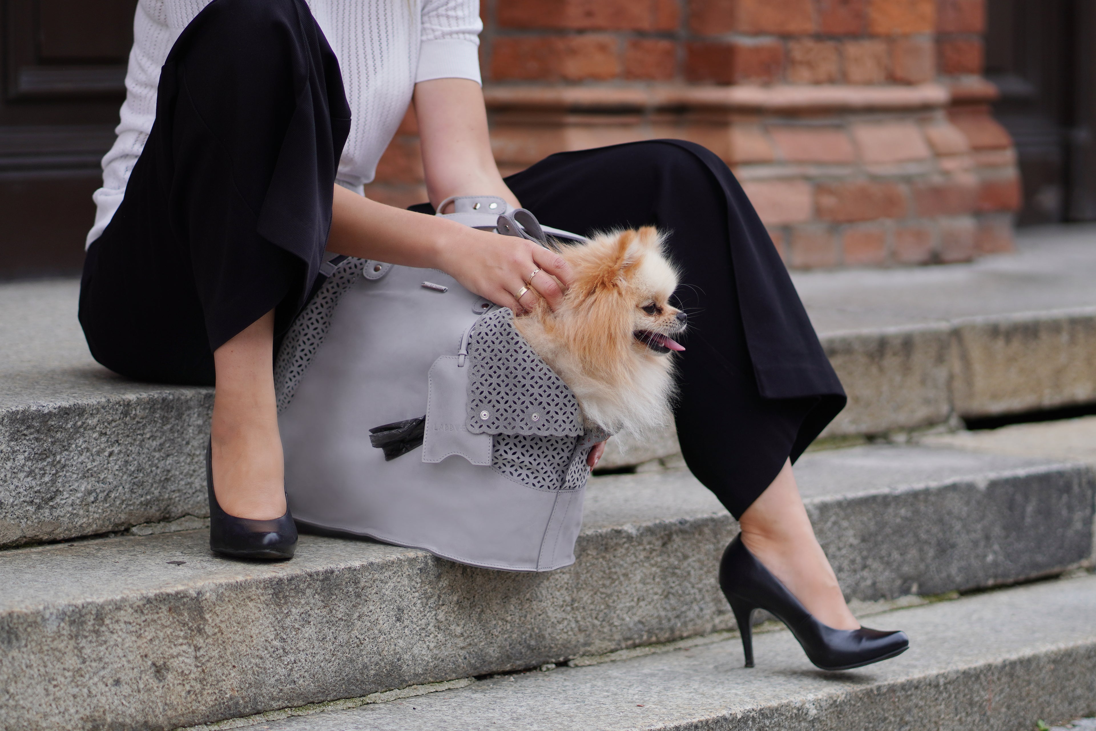Bolso transportín ELVA de nubuck para perros