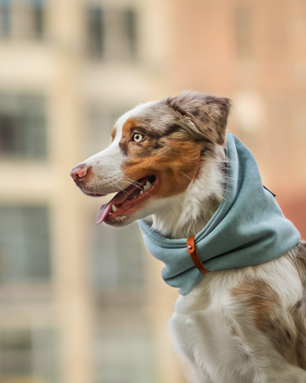 INKO Neck Warmer – LABBVENN