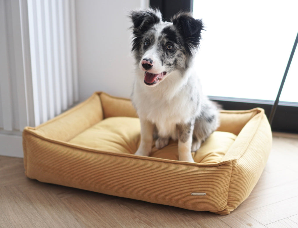Cama Strippo para perros en pana