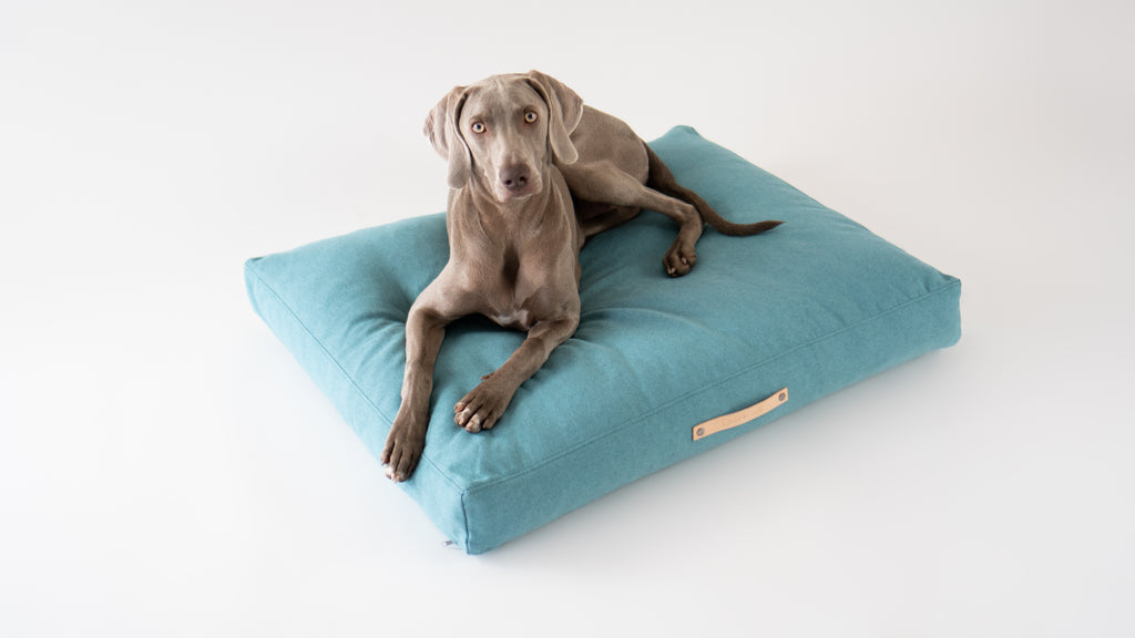 Cojín Nordic para perros