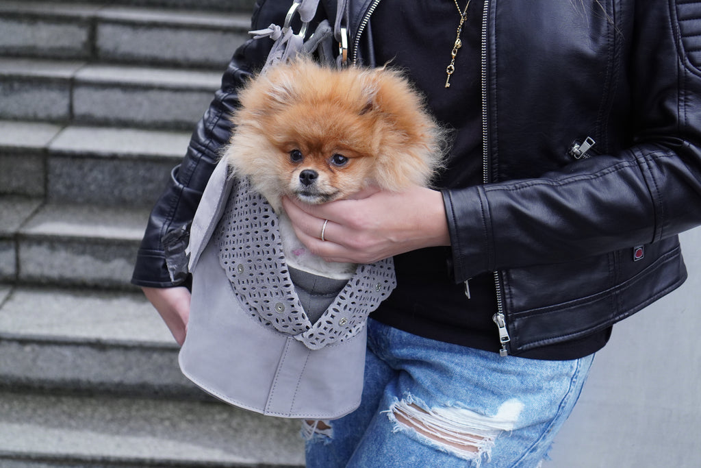 Bolso transportín ELVA de nubuck para perros