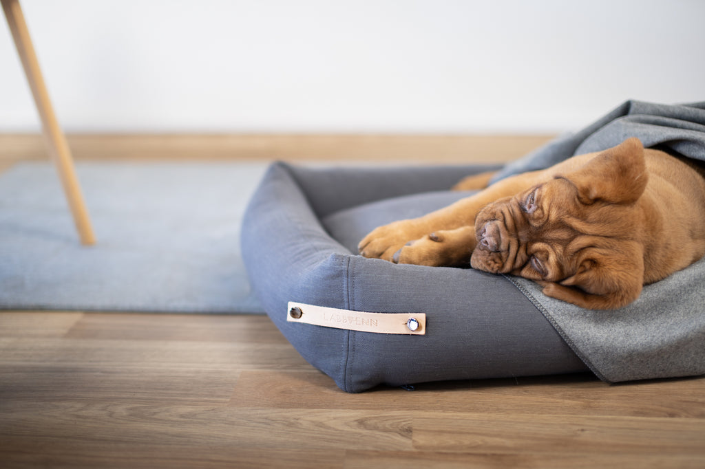 Cama Stokke para perros
