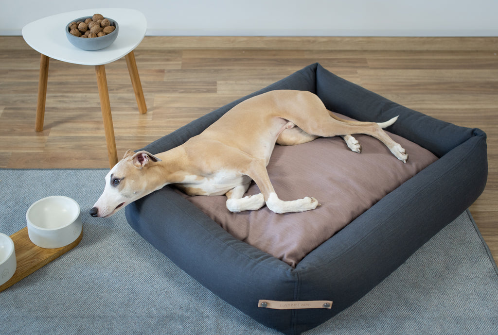 Cama Stokke para perros