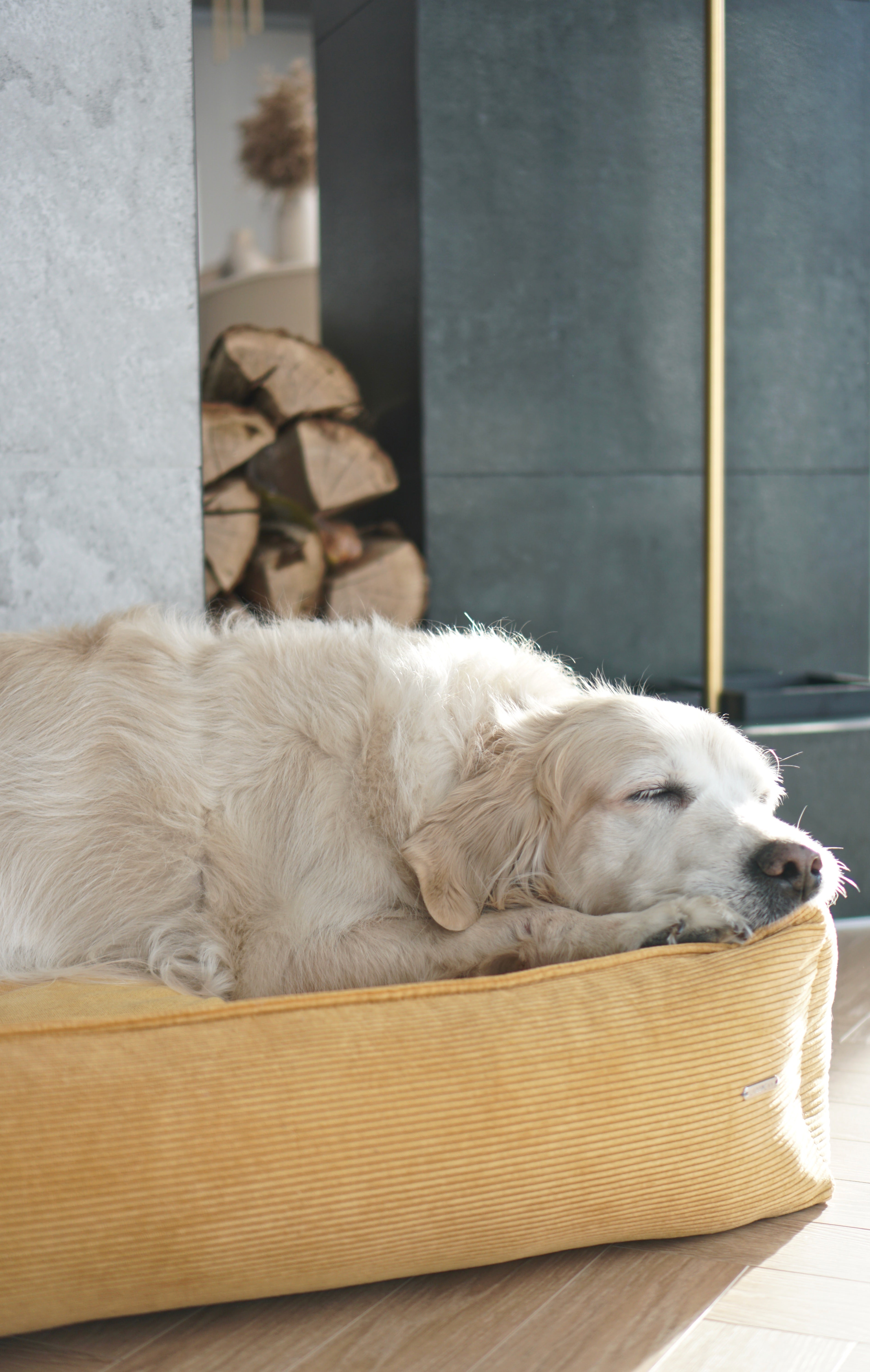 Cama Strippo para perros en pana