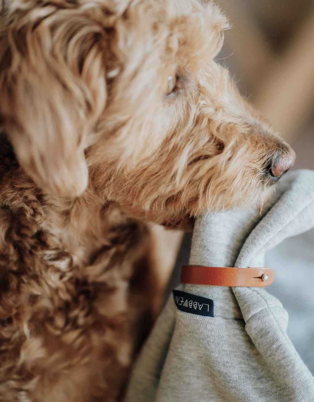 INKO Neck Warmer – LABBVENN