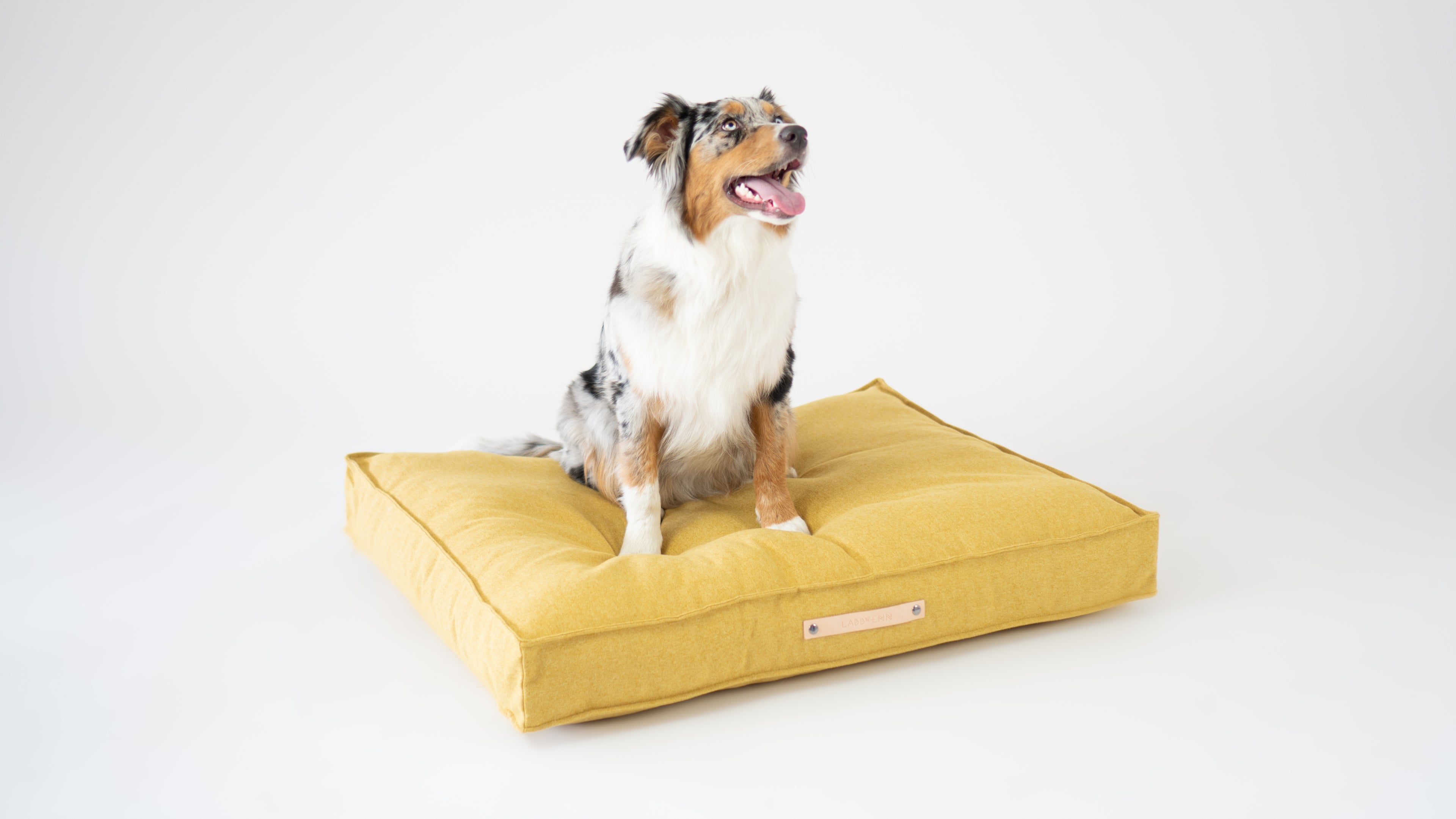 Cojín MØVIK para perros