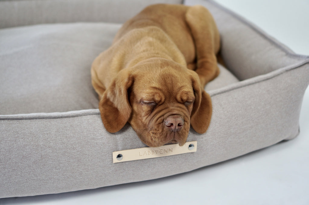 Cama TÖVE para perros