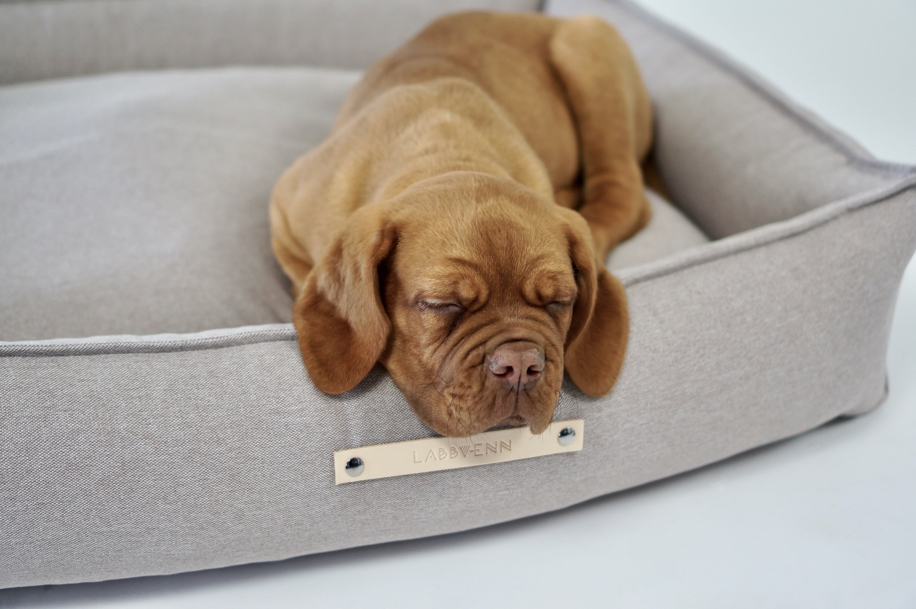 Cama TÖVE para perros