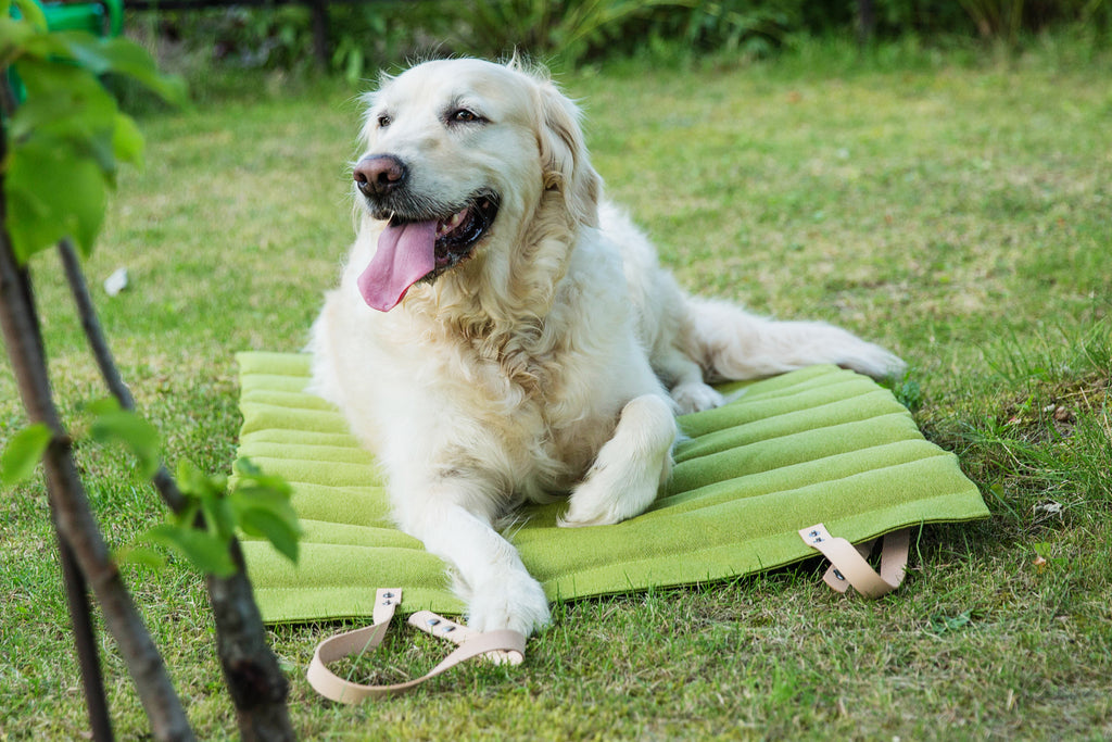 Esterilla Fosser para perros