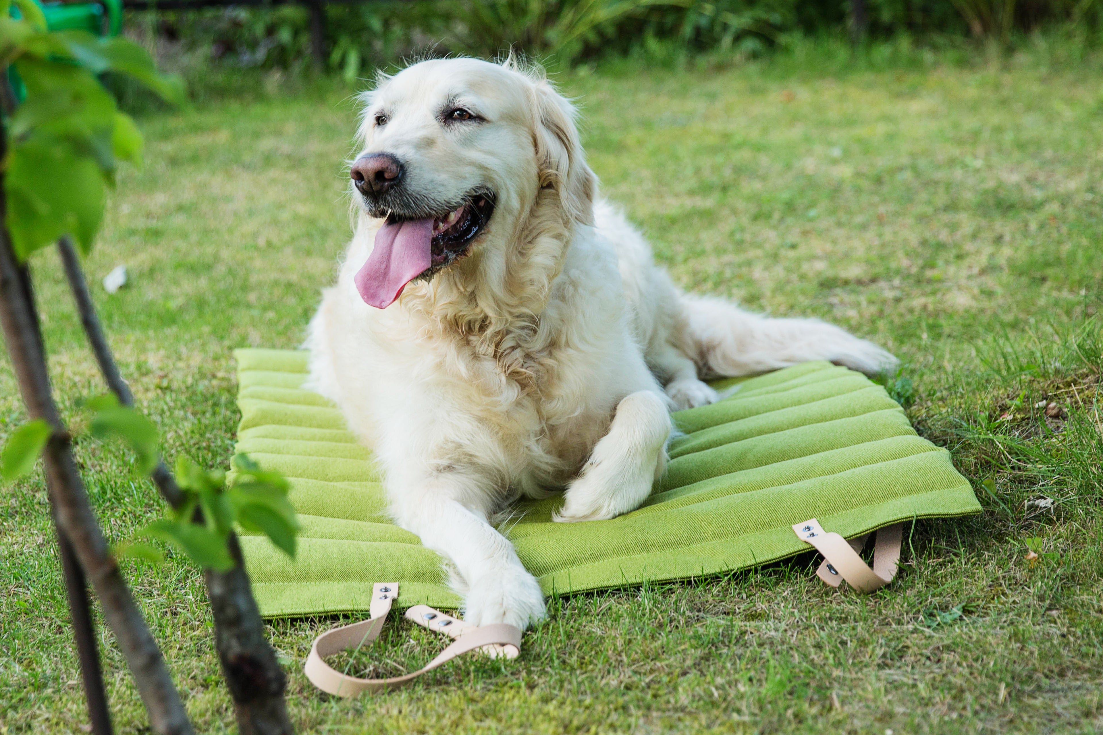 Esterilla Fosser para perros
