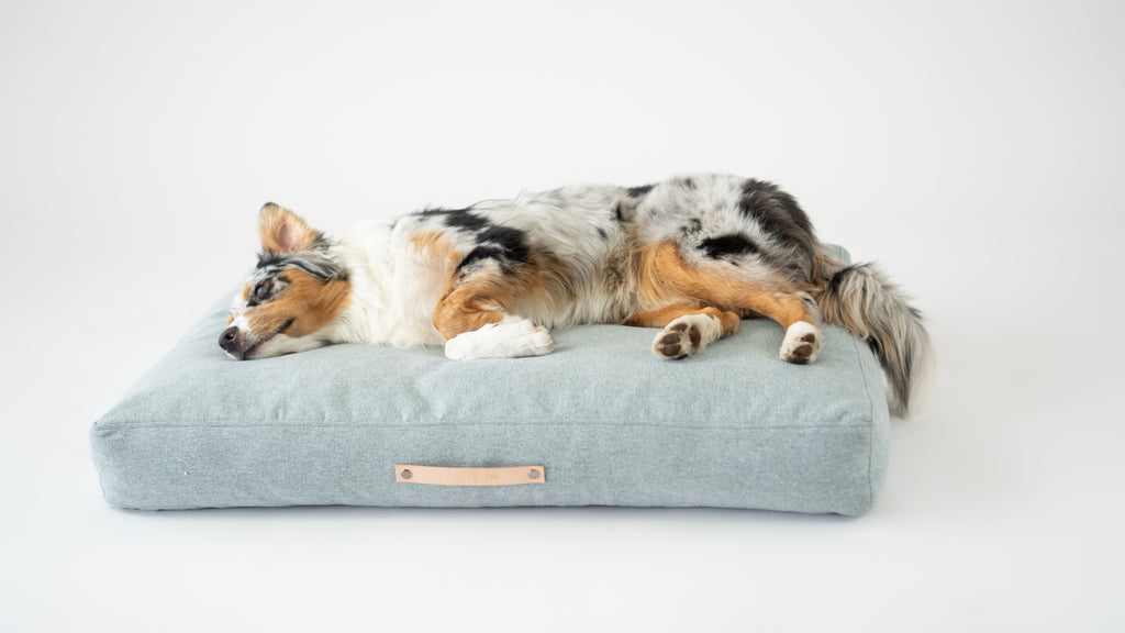 Cojín Nordic para perros