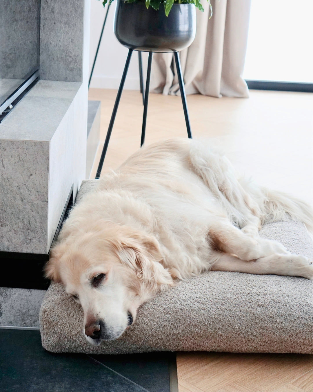 Cojín Buklaa Dog Cushion en bouclé para perros
