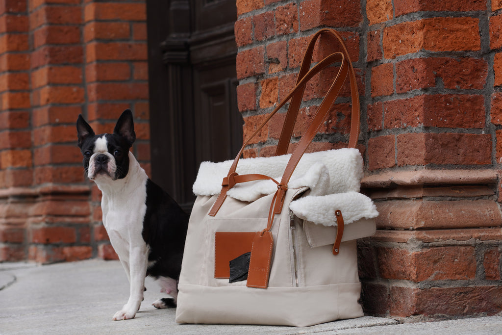 Bolso transportín LIIVA para perros pequeños