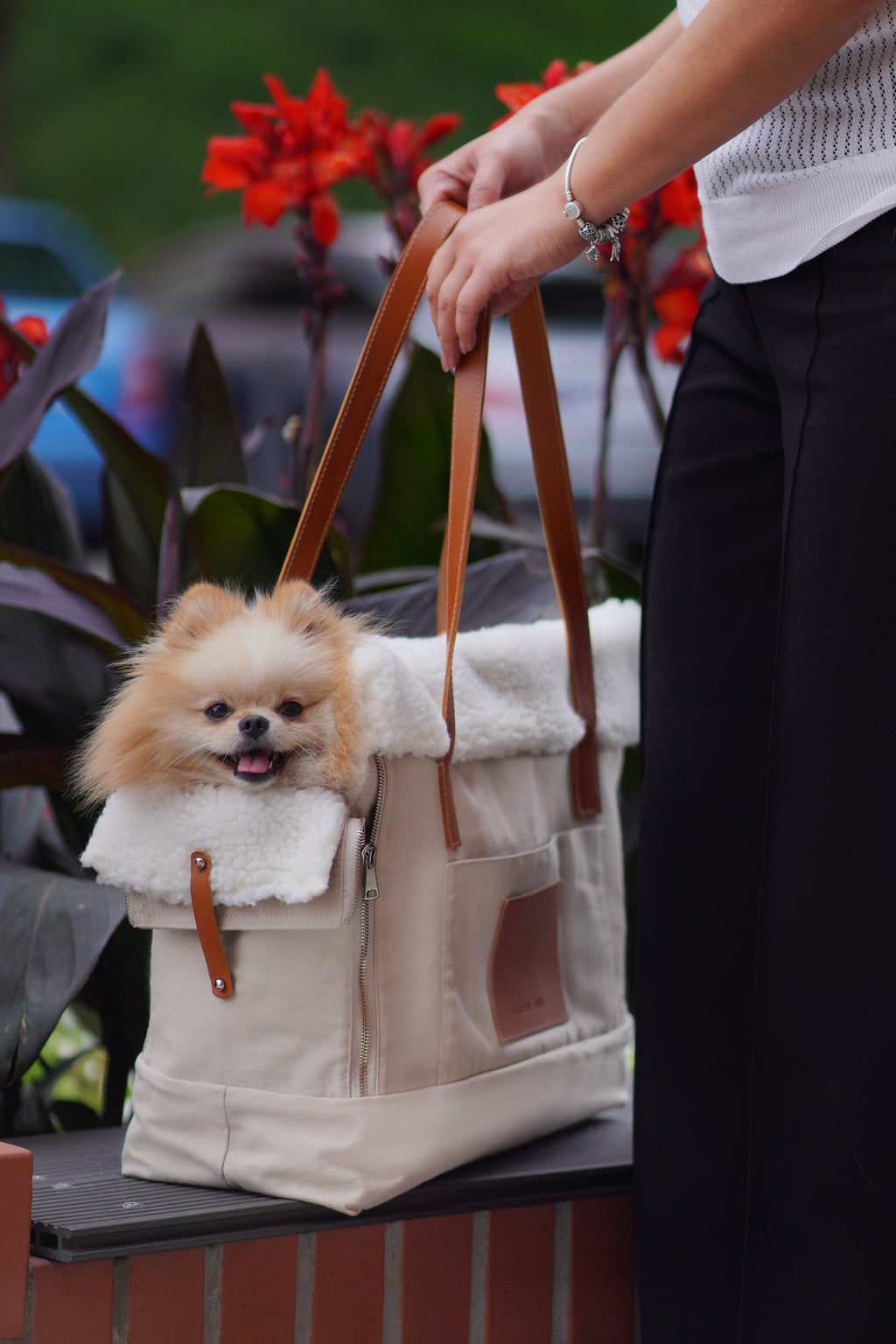 Bolso transportín LIIVA para perros pequeños