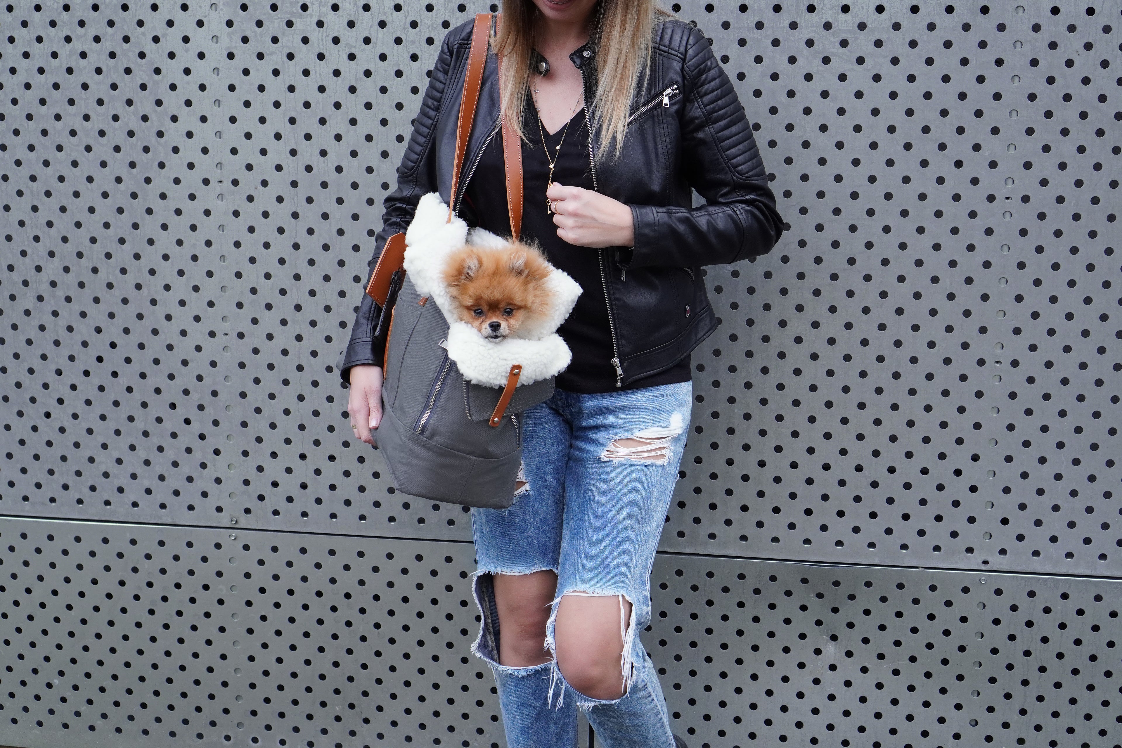 Bolso transportín LIIVA para perros pequeños