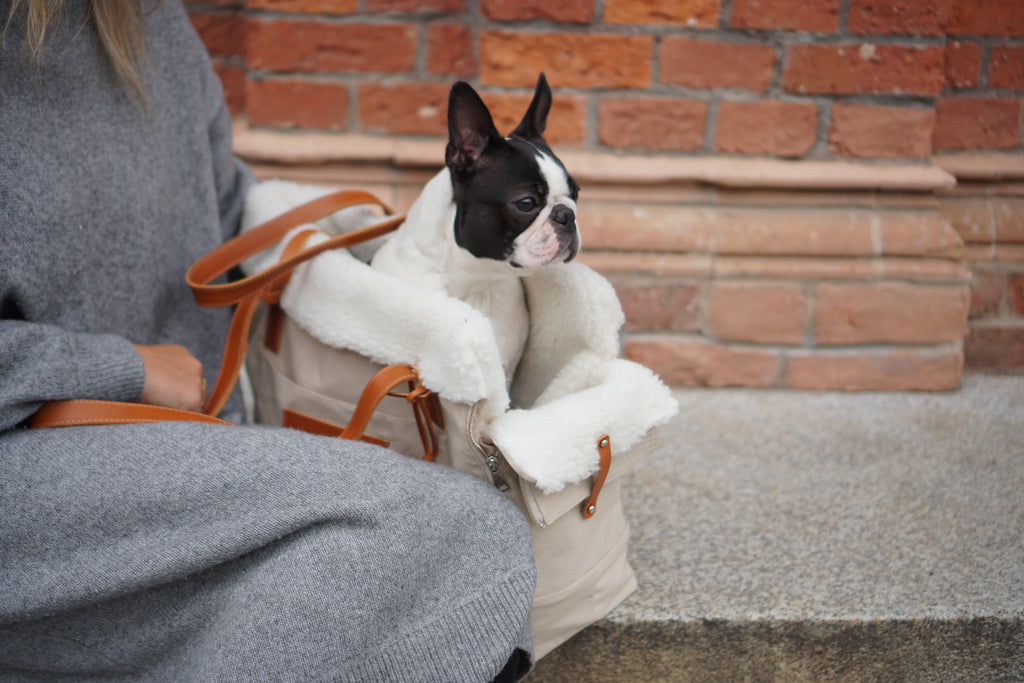 Bolso transportín LIIVA para perros pequeños